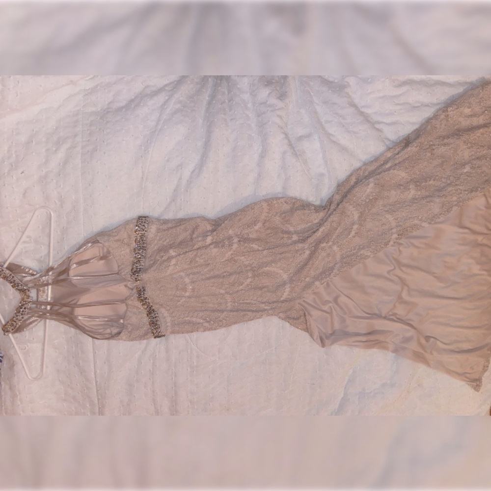 Nude Pink Sequence and Vail Gown.